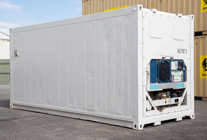 Những ưu và nhược điểm nổi bật khi vận chuyển hàng hóa bằng container lạnh