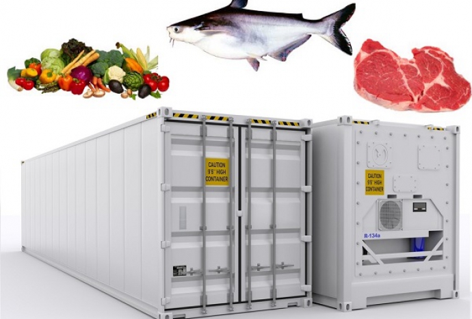 Container lạnh có thể chuyên chở được những loại hàng hóa nào?