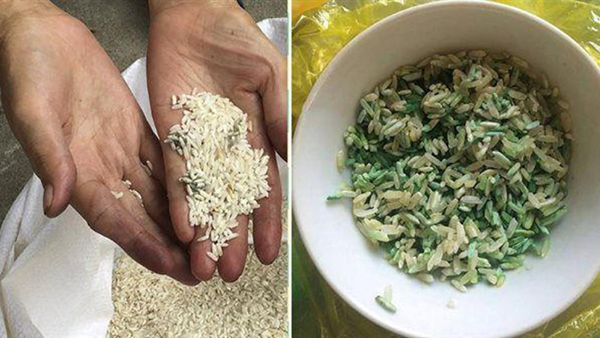 Gạo bị mốc do tình trạng bảo quản chưa tốt