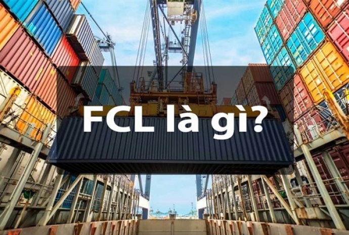 FCL là gì? Phân biệt FCL và LCL trong xuất nhập khẩu