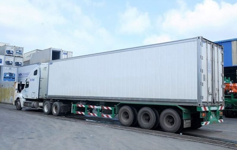 Tại sao vận tải container lạnh là giải pháp bảo quản tối ưu?