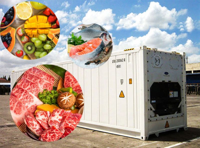 Giảm thiểu hư hỏng hàng hóa với container lạnh